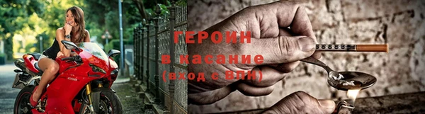 индика Богданович
