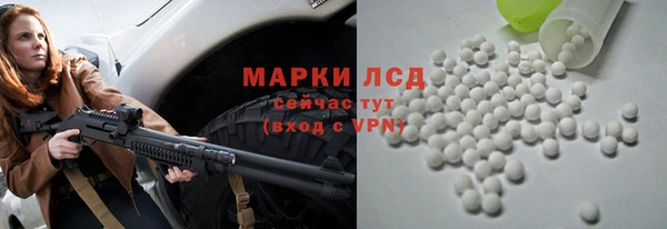 трава Богородицк