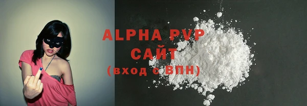 индика Богданович