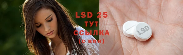 индика Богданович