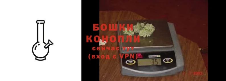 PSILOCYBIN Бронницы
