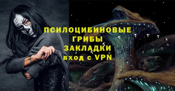 соль курить ск Бородино