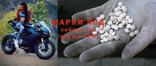 индика Богданович