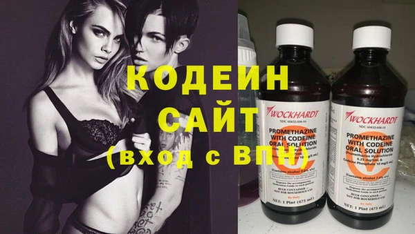 индика Богданович