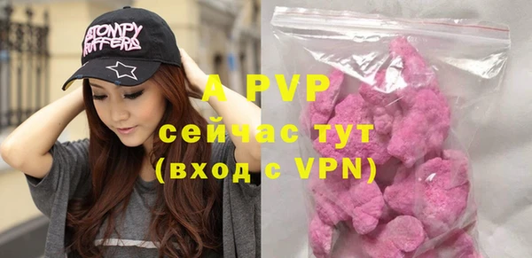 PSILOCYBIN Бронницы