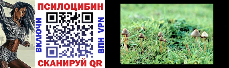 Галлюциногенные грибы Cubensis  Керчь 